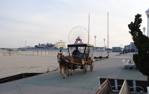 Horse-and-Carriage-Rides-Ocean-City-Boardwalk-57 Horse-and-Carriage-Rides-Ocean-City-Boardwalk-57