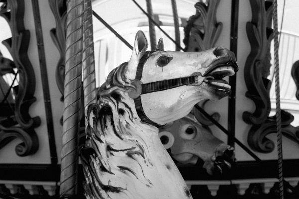 carousel_horse_black_and_wite-94 carousel_horse_black_and_wite-94