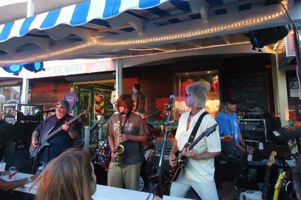band_tranzfusion band_tranzfusion