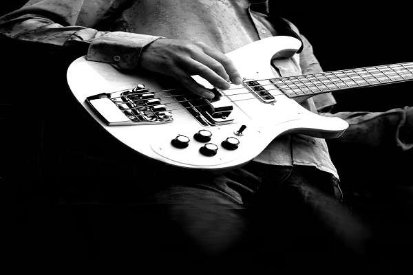 Live Bands, DJs and Concerts at Seacrets Photo